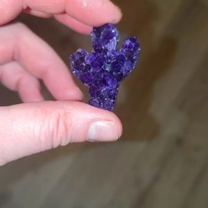 ADORABLE AMETHYST 🌵 CACTUS